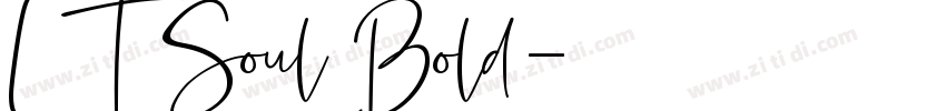 LT Soul Bold字体转换